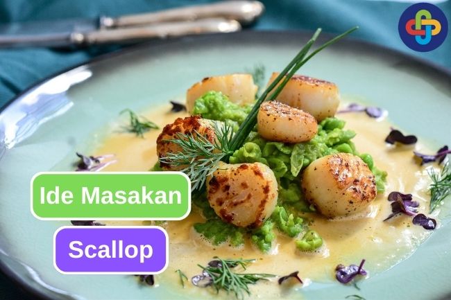 5 Cara Memasak Scallop ke dalam Berbagai Hidangan 